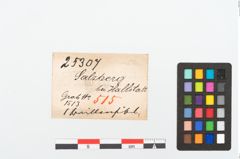 Etikett zu Bronzebrillenfibel (NHMW-PRAE-025307)